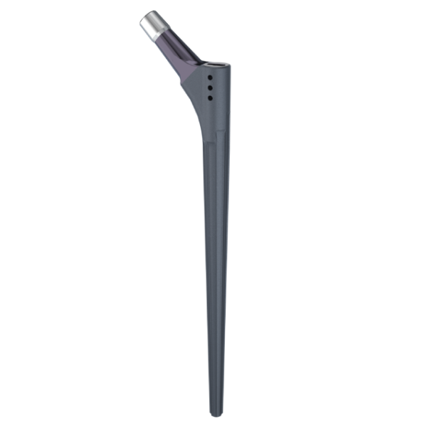 Agluna Hip System